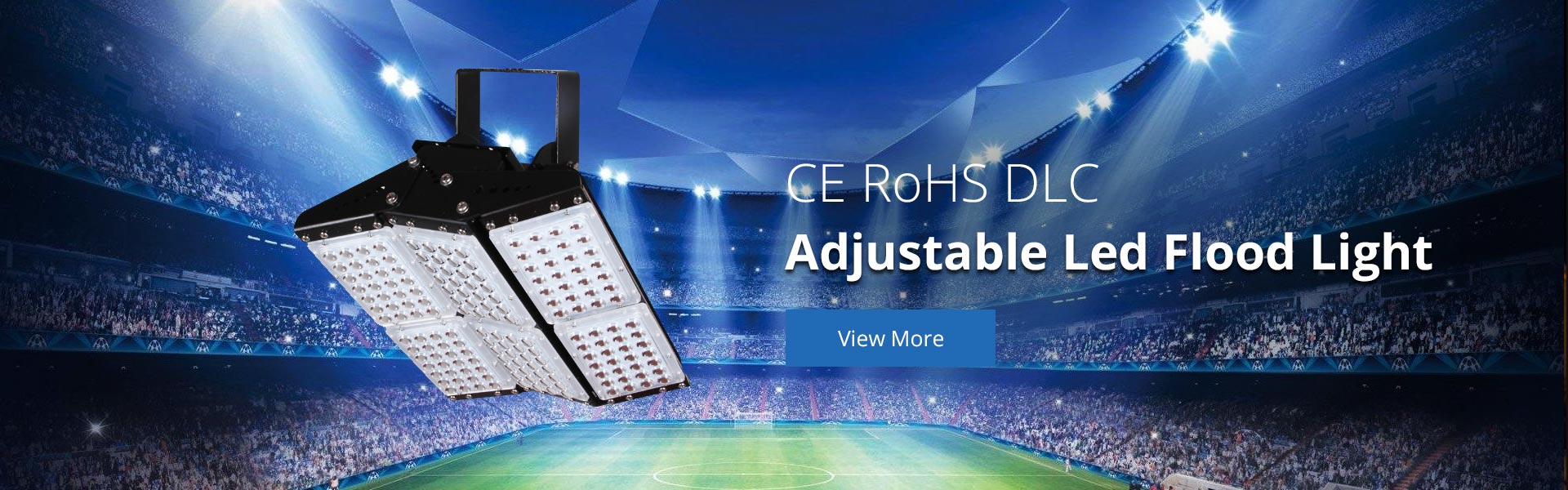 LED Flood Light